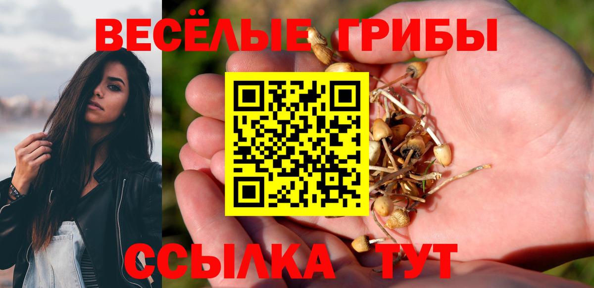 Псилоцибиновые грибы Psilocybine cubensis  Псилоцибиновые грибы Psilocybine cubensis  Рузаевка 