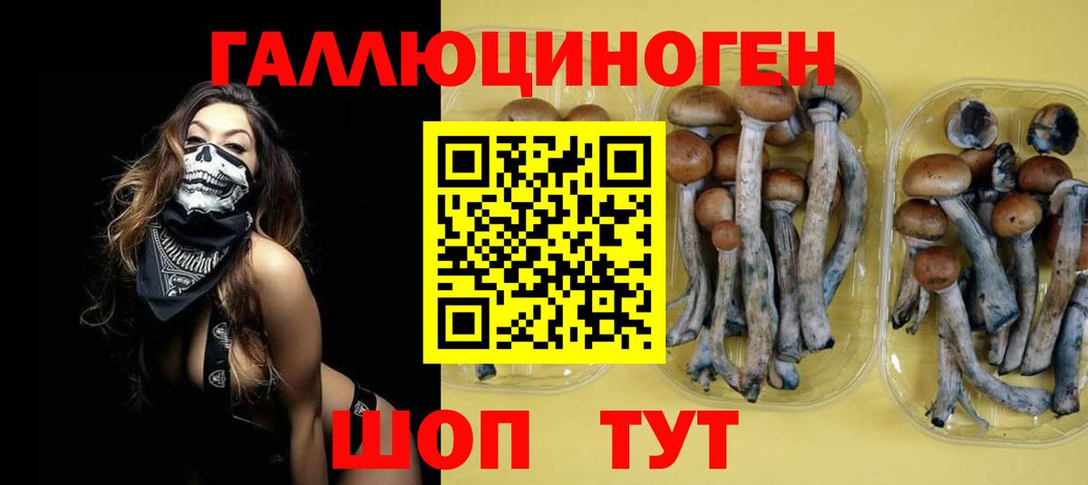 Рузаевка  Галлюциногенные грибы GOLDEN TEACHER  сколько стоит  Вход с VPN 