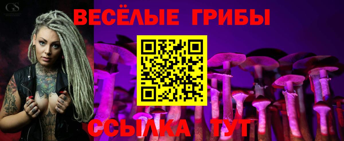 Галлюциногенные грибы мицелий Рузаевка